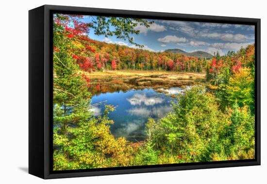 Adirondack Pond-Robert Goldwitz-Framed Stretched Canvas