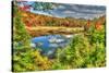 Adirondack Pond-Robert Goldwitz-Stretched Canvas