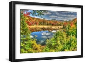 Adirondack Pond-Robert Goldwitz-Framed Premium Photographic Print