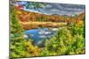 Adirondack Pond-Robert Goldwitz-Mounted Premium Photographic Print