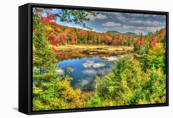 Adirondack Pond-Robert Goldwitz-Framed Stretched Canvas