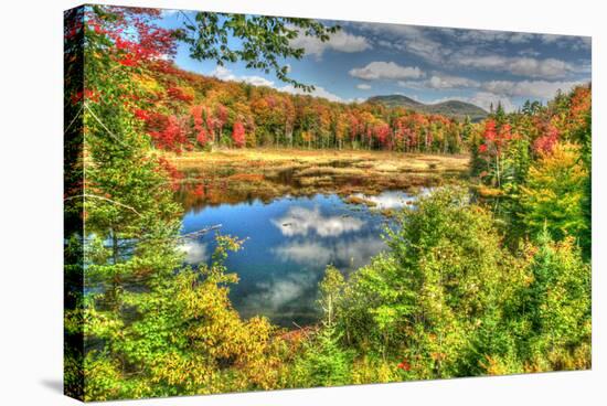 Adirondack Pond-Robert Goldwitz-Stretched Canvas