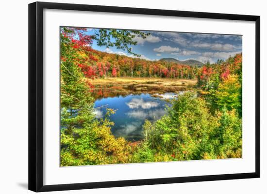 Adirondack Pond-Robert Goldwitz-Framed Photographic Print