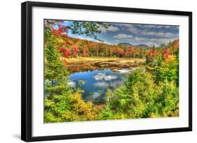 Adirondack Pond-Robert Goldwitz-Framed Photographic Print