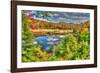 Adirondack Pond-Robert Goldwitz-Framed Photographic Print