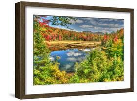 Adirondack Pond-Robert Goldwitz-Framed Photographic Print