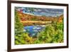 Adirondack Pond-Robert Goldwitz-Framed Photographic Print