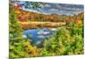 Adirondack Pond-Robert Goldwitz-Mounted Photographic Print