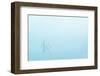 Adirondack Zen-Steven Maxx-Framed Photographic Print