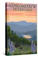 Adirondacks Mountains - Lake Placid, New York - Bears and Spring Flowers-Lantern Press-Stretched Canvas