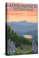 Adirondacks Mountains, New York State - Bears and Spring Flowers-Lantern Press-Stretched Canvas