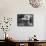 Adjustable Garden Hoe-Elsie Collins-Framed Stretched Canvas displayed on a wall