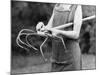 Adjustable Garden Hoe-Elsie Collins-Mounted Photographic Print