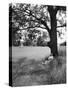 Adlai Stevenson, Illinois Governor and Prospective Democratic Presidential Candidate-Cornell Capa-Stretched Canvas