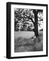 Adlai Stevenson, Illinois Governor and Prospective Democratic Presidential Candidate-Cornell Capa-Framed Premium Photographic Print