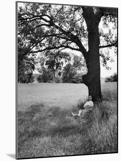 Adlai Stevenson, Illinois Governor and Prospective Democratic Presidential Candidate-Cornell Capa-Mounted Photographic Print