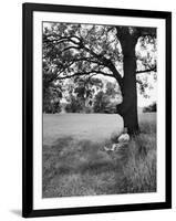 Adlai Stevenson, Illinois Governor and Prospective Democratic Presidential Candidate-Cornell Capa-Framed Photographic Print