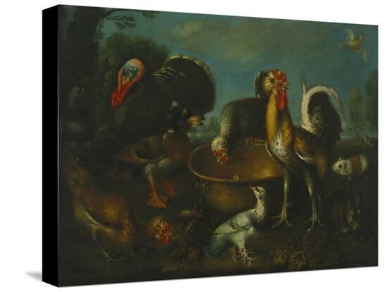 Stretched Canvas Print, , large