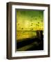 Adler-Cristina Carra Caso-Framed Photographic Print