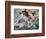 Admiral Amedee Anatole Courbet-null-Framed Giclee Print