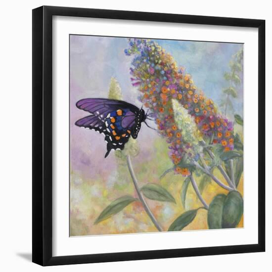 Admiral Butterfly-John Zaccheo-Framed Giclee Print