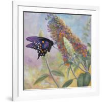 Admiral Butterfly-John Zaccheo-Framed Giclee Print