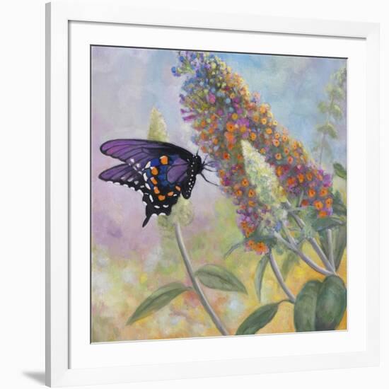 Admiral Butterfly-John Zaccheo-Framed Giclee Print