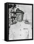 Admiral Husband Kimmel-null-Framed Stretched Canvas