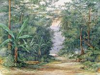 T1229 the Blue Mountains, Jamaica, 1879-Admiral Sir Edward Augustus Inglefield-Laminated Giclee Print