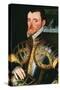 Admiral Sir Richard Hawkins (1532-1595), C.1590 (Oil on Panel)-English School-Stretched Canvas