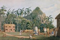 T1231 a View of the Village at Pitcairn Island, December 1825-Admiral William Henry Smyth-Laminated Giclee Print