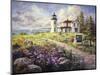 Admirality Head Lighthouse-Nicky Boehme-Mounted Giclee Print