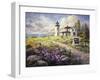 Admirality Head Lighthouse-Nicky Boehme-Framed Giclee Print