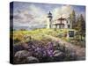 Admirality Head Lighthouse-Nicky Boehme-Stretched Canvas