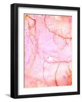 Admired-T30Gallery-Framed Art Print