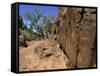 Adnjamathanha Aboriginal Engravings, Sacred Canyon, Flinders Range, South Australia, Australia-Neale Clarke-Framed Stretched Canvas