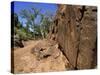 Adnjamathanha Aboriginal Engravings, Sacred Canyon, Flinders Range, South Australia, Australia-Neale Clarke-Stretched Canvas