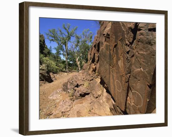 Adnjamathanha Aboriginal Engravings, Sacred Canyon, Flinders Range, South Australia, Australia-Neale Clarke-Framed Photographic Print