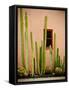 Adobe Cactus, 2015-null-Framed Stretched Canvas