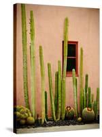 Adobe Cactus, 2015-null-Stretched Canvas