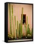 Adobe Cactus, 2015-null-Framed Stretched Canvas