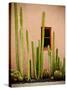 Adobe Cactus, 2015-null-Stretched Canvas