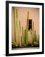 Adobe Cactus, 2015-null-Framed Photographic Print