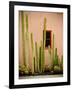 Adobe Cactus, 2015-null-Framed Photographic Print