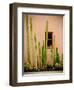 Adobe Cactus, 2015-null-Framed Photographic Print