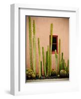 Adobe Cactus, 2015-null-Framed Photographic Print