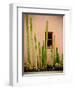 Adobe Cactus, 2015-null-Framed Photographic Print