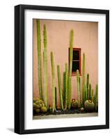 Adobe Cactus, 2015-null-Framed Photographic Print