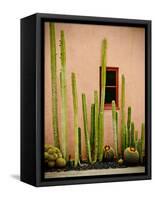 Adobe Cactus, 2015-null-Framed Stretched Canvas