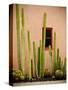 Adobe Cactus, 2015-null-Stretched Canvas